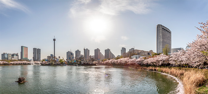 石村湖の桜