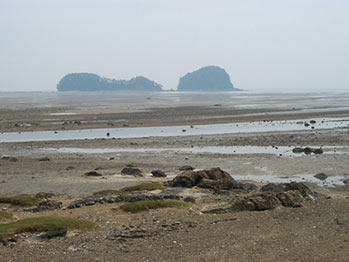 Seocheon Tidal Flat