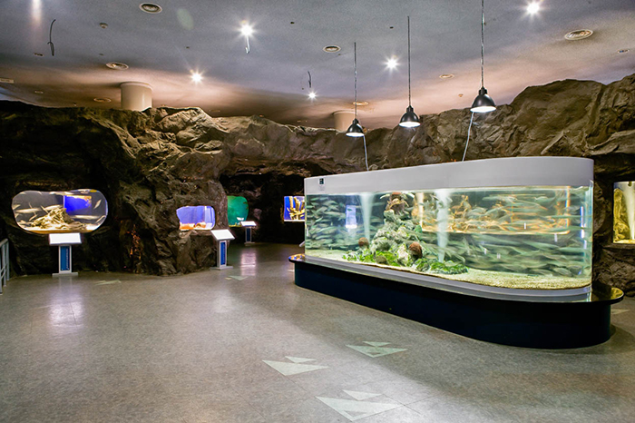 Photo: Interior of Jeollanam-do Maritime & Fisheries Science Museum