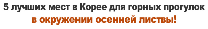 5 лучших мест в Корее для горных прогулок в окружении осенней листвы!