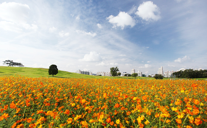 Vue du parc Olympic