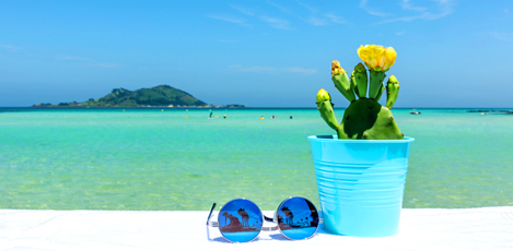 Bucket List: Best Coastal Destinations in Korea