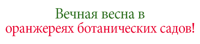 Вечная весна в оранжереях ботанических садов!