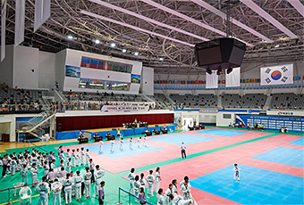 T1-Arena