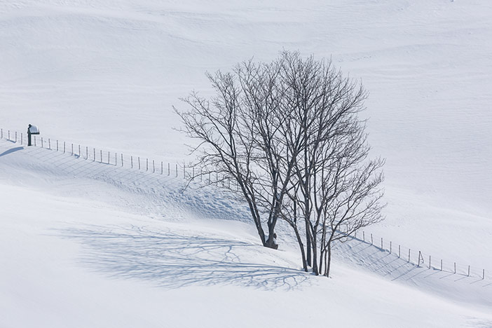Schaffarm Daegwallyeong im Schnee