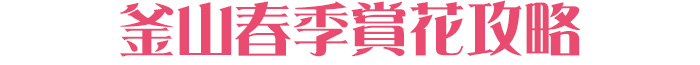 釜山春季賞花攻略
