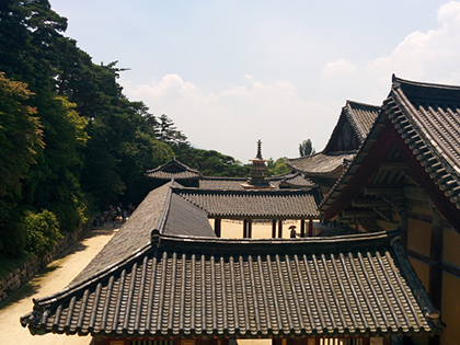 [Gyeongju, Gyeongju Seorabeol Hanok Guesthouse]A Visit To The Museum Without Walls