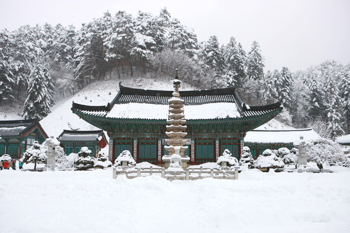 月精寺の冬の風景