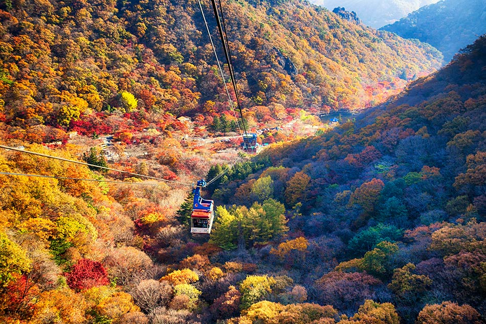 Fall, Spring, and Winter at Naejangsan Mountain