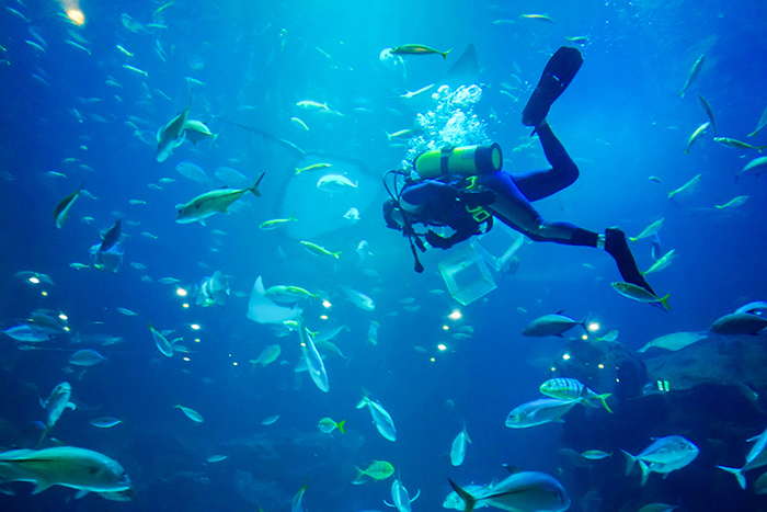 圖片) Aqua Planet海洋世界