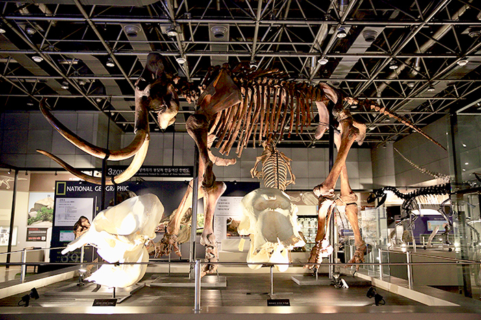 Nationales Wissenschaftsmuseum