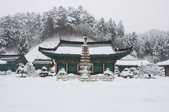 月精寺(上)与沙松林间路(下)