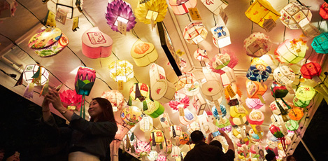 Traditional Charm & Excitement Meet at the Lotus Lantern Festival