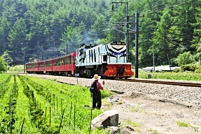 V-Train & O-Train