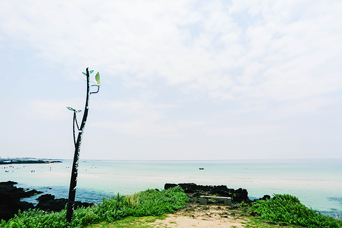濟州咸德海邊