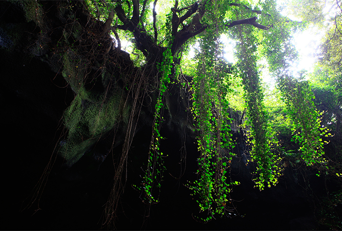Höhle Manjanggul