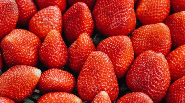 在口中绽放的红色芳香，韩国草莓人气景点6处
