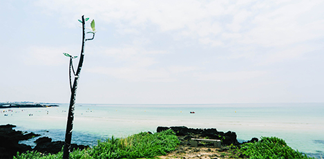 A Guide to Jeju’s Revitalizing Eastern Coast