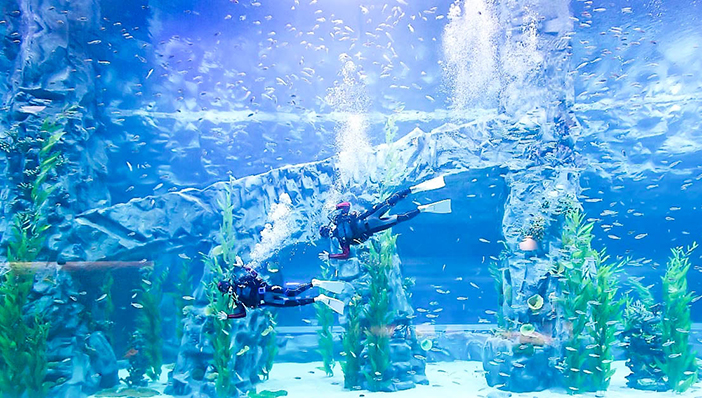 樂天世界水族館(圖片來源: 樂天世界水族館)