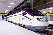 Super Rapid Train (SRT)