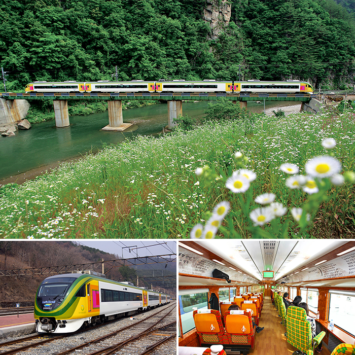 O-Train (Cortesía de KORAIL, fotos de arriba y de abajo a la izquierda).