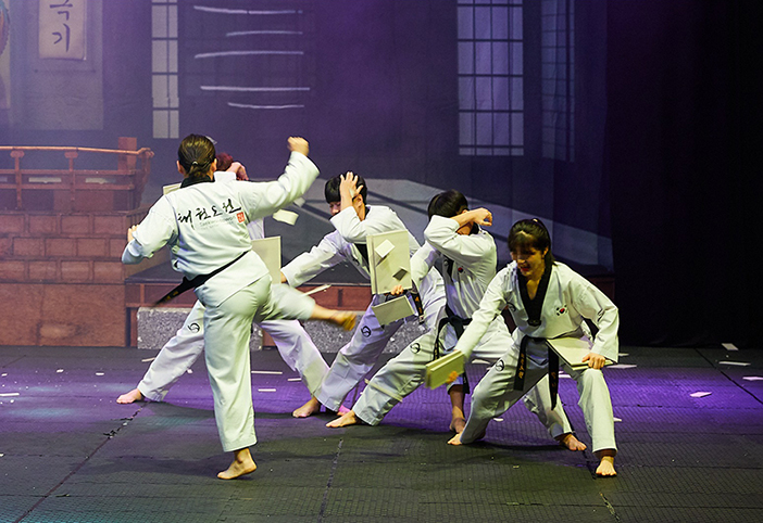 taekwondo Programs01
