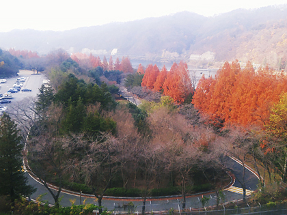 [Daejeon, Hotel Graytone Dunsan] The combo of science advancement and nature