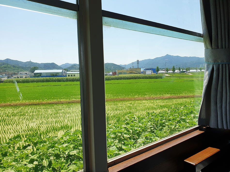 車窓から見えるのは溢れんばかりの自然