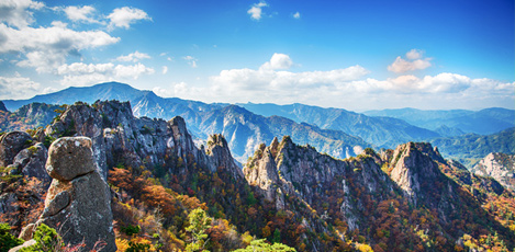 Korea’s BEST 5 Fall Foliage Sites