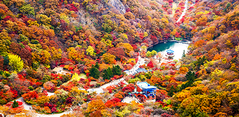 韓国の秋の紅葉名所ベスト5