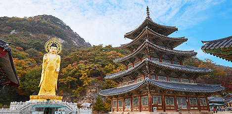 法住寺寺庙寄宿, “在俗离山中寻求灵魂的宁静”