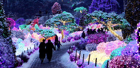 2021～2022年 韓国の楽しい冬祭り