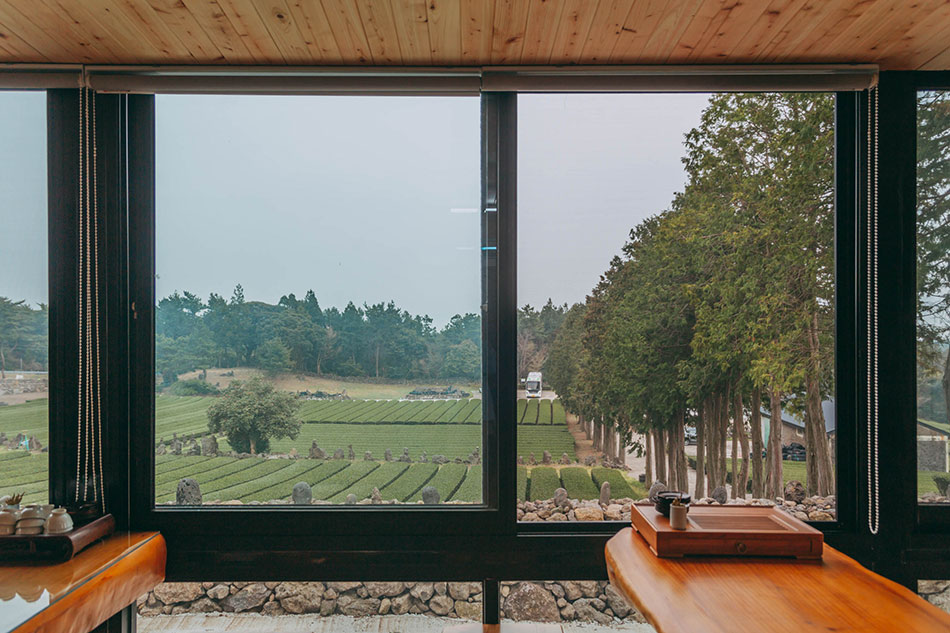 西帰茶園の茶室の窓越しから眺める茶畑（写真提供：キム・ミンソ氏、パク・ギュンソン氏）