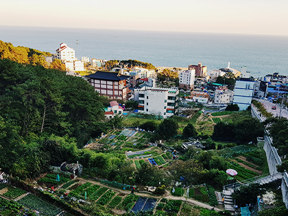 [Busan, MIPO OCEANSIDE HOTEL] Moontan romantic trail tour 