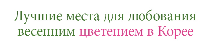 Лучшие места для любования весенним цветением в Корее