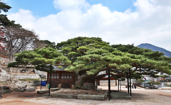 石坡亭の風景(上)とソウル美術館(下)