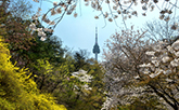南山野外植物園