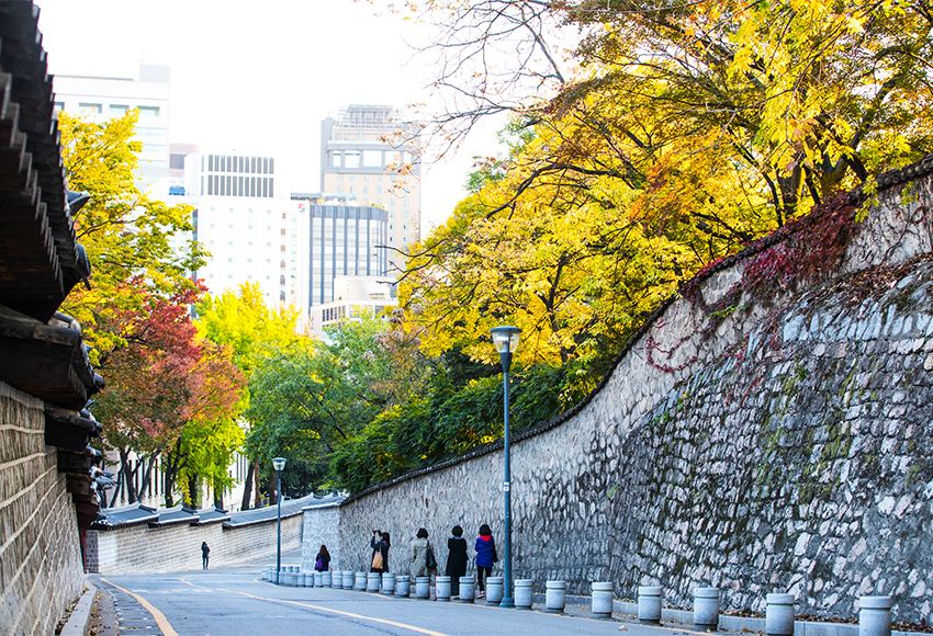 德寿宫石墙路风景