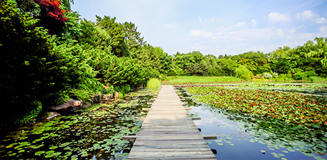Beautiful places to find peace near Seoul