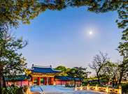 昌徳宮月明かり紀行