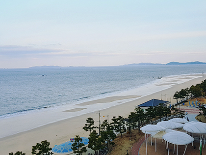 [Boryeong, Day Nice Hotel] Enjoy the sea in Boryeong, the city of mud.