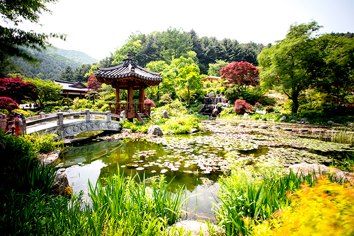 Teich Seohwayeon im Arboretum Achim Goyo