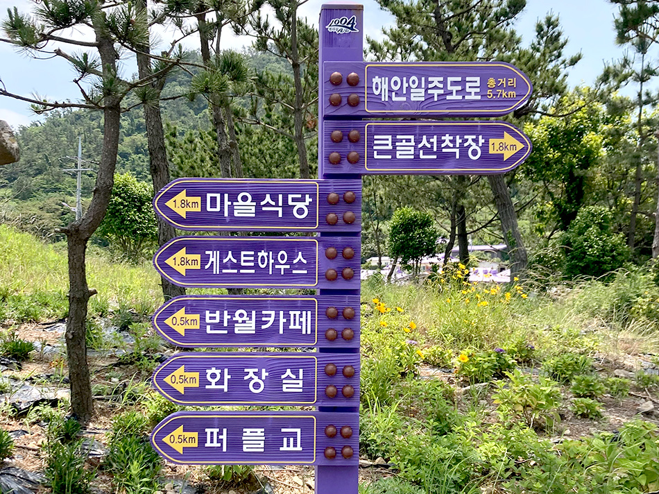 案内版もパープル