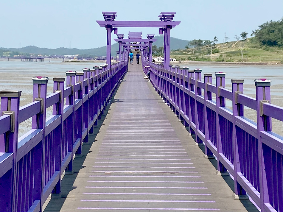 半月島から朴只島へと続くパープル橋