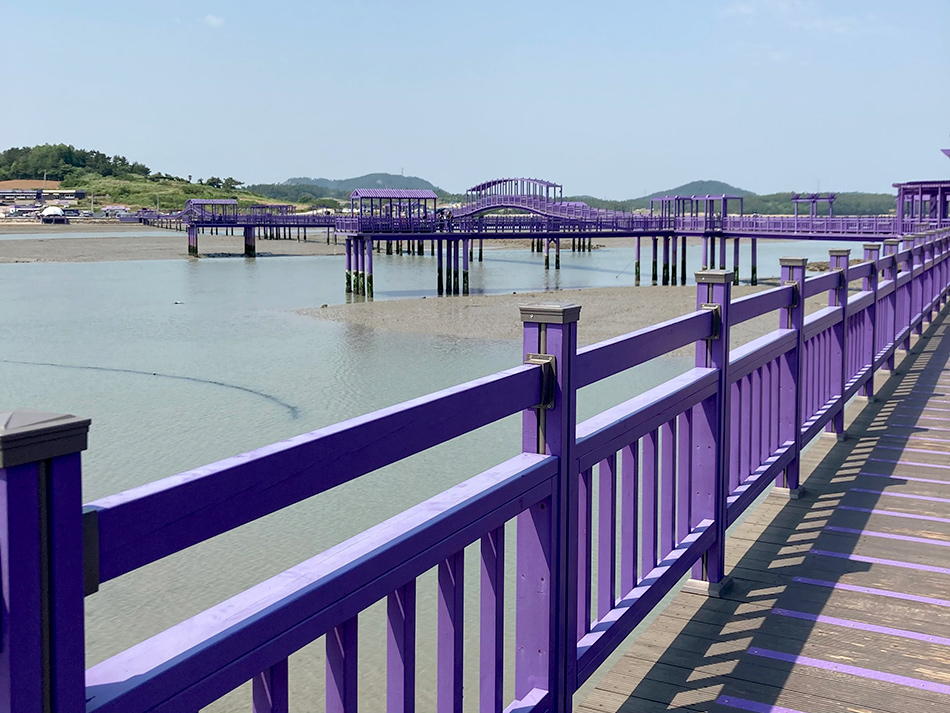 朴只島から斗里へと続くパープル橋