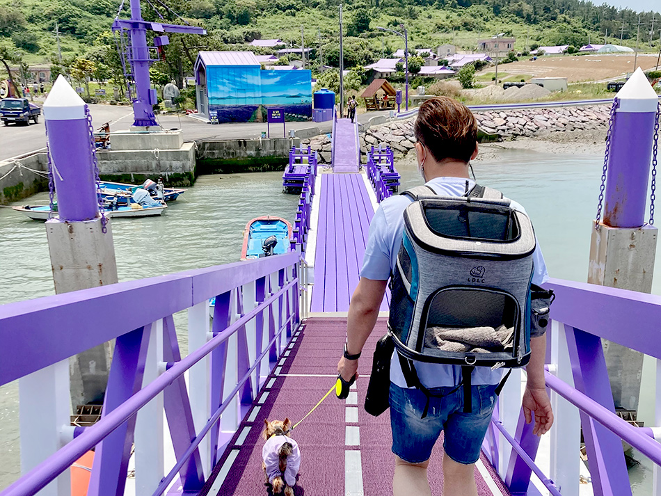 鮮やかなパープルが目を引くムーンブリッジ