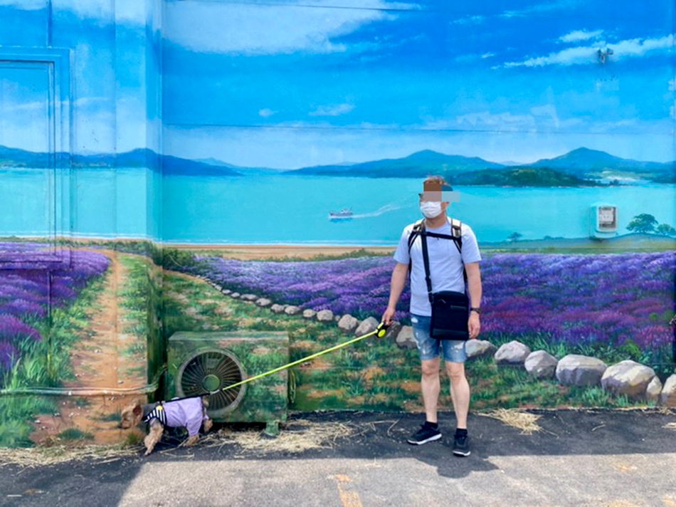 ラベンダー畑の壁画