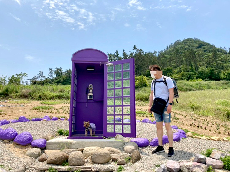紫色の電話ボックス