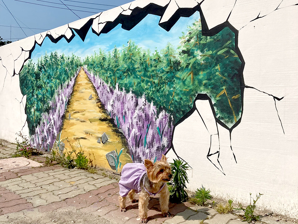 パープル島に向かう途中にある全羅南道新安郡安佐面の道路に描かれた壁画