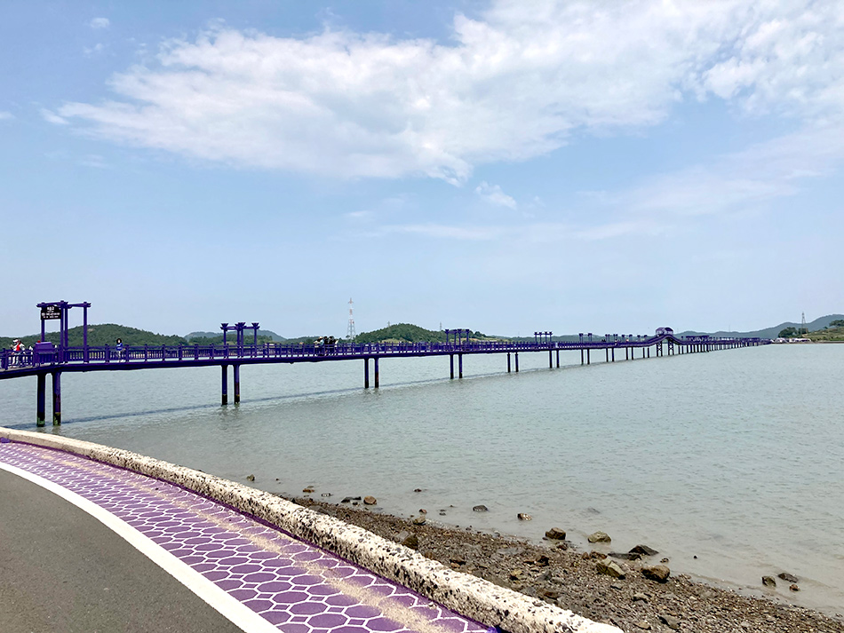 道路もパープル